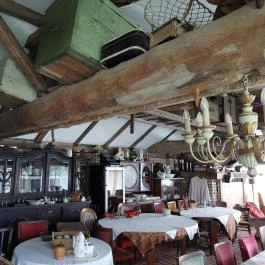 Luca Háza Panzió, Feketeerd? - Egyéb