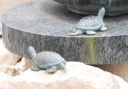 Luca-szobor Kecskemét