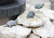 Luca-szobor Kecskemét