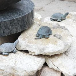 Luca-szobor, Kecskemét - Egyéb