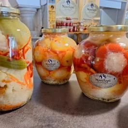 Lucullus Fogadó étterme Noszlop - Egyéb