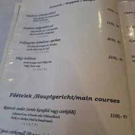 Ludas Kisvendéglő és Fogadó Nagyalásony - Étlap/itallap