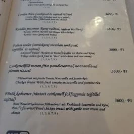 Ludas Kisvendéglő és Fogadó Nagyalásony - Étlap/itallap