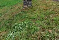 M61-004 emléktábla Badacsonytördemic