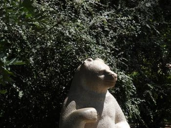 Mackó szobor Budapest