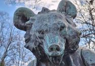 Mackó úrfi róka komával Budapest