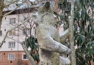 Mackók-szobor Budapest