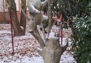 Mackók-szobor Budapest