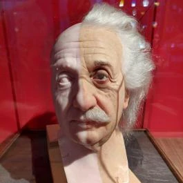 Madame Tussauds Budapest, Budapest - Egyéb