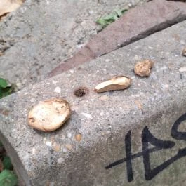 Mag-meditáció (lebegés) Budapest - Egyéb