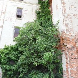 Magtár, Doboz - Egyéb