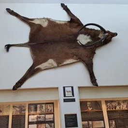 Magyar Földrajzi Múzeum Érd - Egyéb