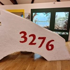 Magyar Földrajzi Múzeum Érd - Egyéb