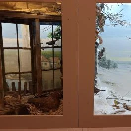 Magyar Földrajzi Múzeum Érd - Egyéb