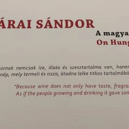 Magyar Fűszerpaprika Múzeum Kalocsa - Egyéb