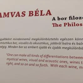 Magyar Fűszerpaprika Múzeum Kalocsa - Egyéb