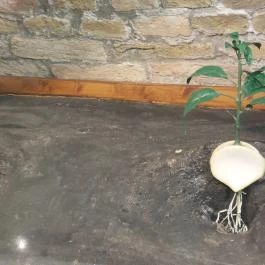 Magyar Fűszerpaprika Múzeum Kalocsa - Egyéb