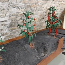 Magyar Fűszerpaprika Múzeum Kalocsa - Egyéb
