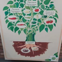 Magyar Fűszerpaprika Múzeum Kalocsa - Egyéb