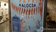 Magyar Fűszerpaprika Múzeum Kalocsa - Egyéb