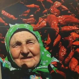 Magyar Fűszerpaprika Múzeum Kalocsa - Egyéb
