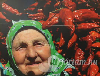 Magyar Fűszerpaprika Múzeum