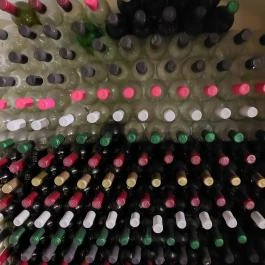 Magyar Fűszerpaprika Múzeum Kalocsa - Egyéb