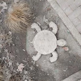 Magyar-kút Etyek - Egyéb