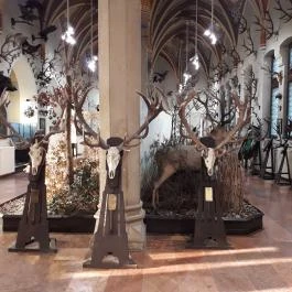 Magyar Mezőgazdasági Múzeum és Könyvtár Budapest - Egyéb