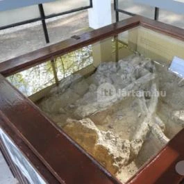 Magyar Nemzeti Múzeum - Vértesszőlősi Bemutatóhely Vértesszőlős - Egyéb