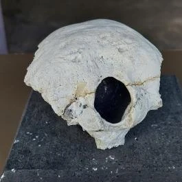 Magyar Nemzeti Múzeum - Vértesszőlősi Bemutatóhely Vértesszőlős - Egyéb