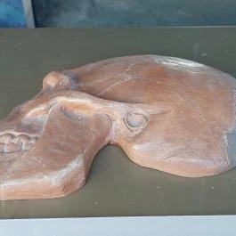 Magyar Nemzeti Múzeum - Vértesszőlősi Bemutatóhely Vértesszőlős - Egyéb