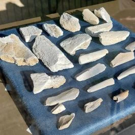 Magyar Nemzeti Múzeum - Vértesszőlősi Bemutatóhely Vértesszőlős - Egyéb