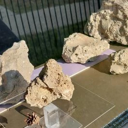 Magyar Nemzeti Múzeum - Vértesszőlősi Bemutatóhely Vértesszőlős - Egyéb