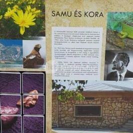 Magyar Nemzeti Múzeum - Vértesszőlősi Bemutatóhely Vértesszőlős - Egyéb