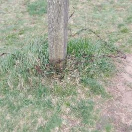 Magyar-osztrák-szlovák hármashatár Rajka - Egyéb