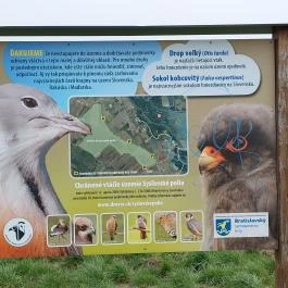 Magyar-osztrák-szlovák hármashatár Rajka - Egyéb