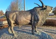 Magyar szürkebika-szobor Hajdúböszörmény