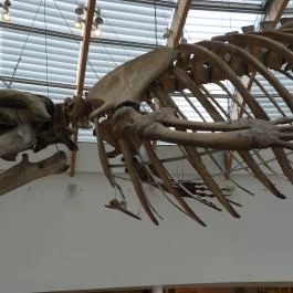 Magyar Természettudományi Múzeum Budapest - Egyéb