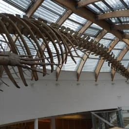 Magyar Természettudományi Múzeum Budapest - Egyéb