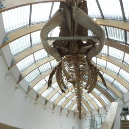 Magyar Természettudományi Múzeum Budapest - Egyéb