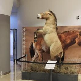 Magyar Természettudományi Múzeum Budapest - Egyéb