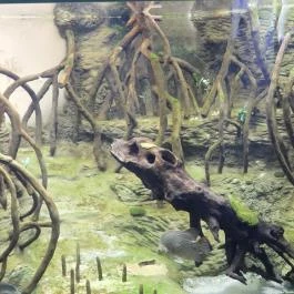 Magyar Természettudományi Múzeum Budapest - Egyéb