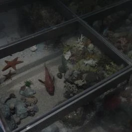 Magyar Természettudományi Múzeum Budapest - Egyéb