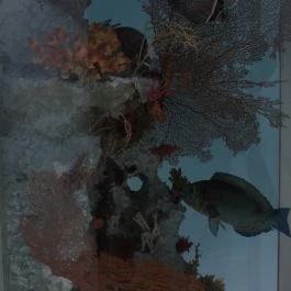 Magyar Természettudományi Múzeum Budapest - Egyéb