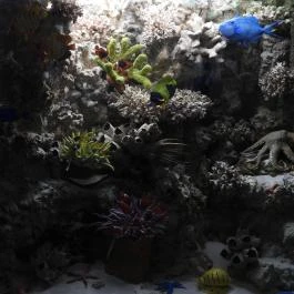 Magyar Természettudományi Múzeum Budapest - Egyéb