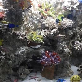 Magyar Természettudományi Múzeum Budapest - Egyéb