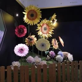 Magyar Természettudományi Múzeum Budapest - Egyéb