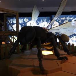 Magyar Természettudományi Múzeum Budapest - Egyéb