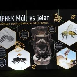 Magyar Természettudományi Múzeum Budapest - Egyéb